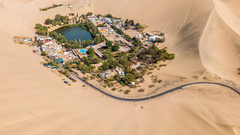 Oasis in Desert — Beige