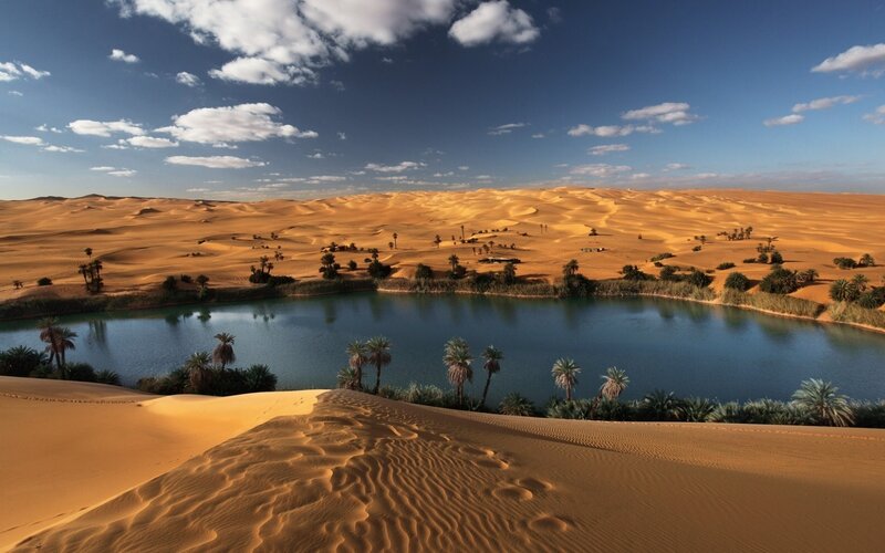 Oasis in Desert — Blue, Serene, Afternoon