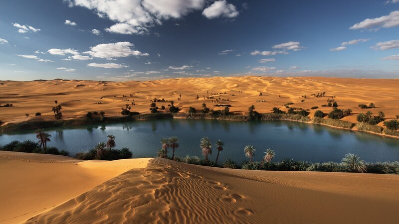 Oasis in Desert — Blue, Serene