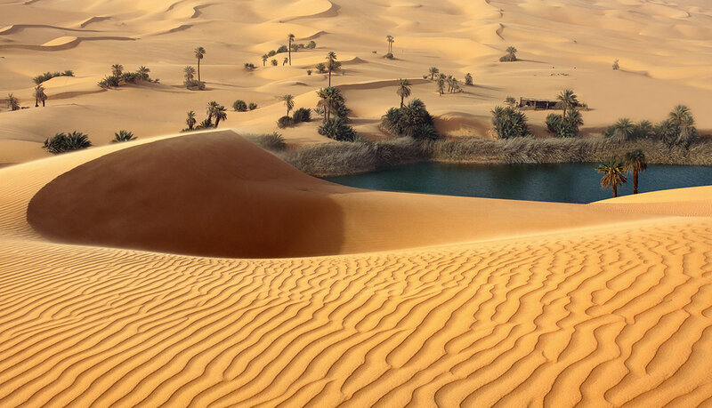 Oasis in Desert — Brown