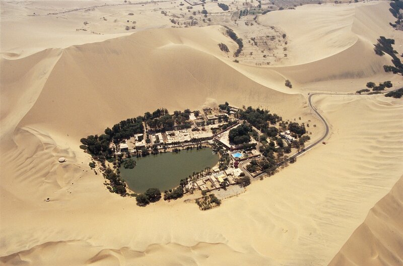oasis in desert dunes