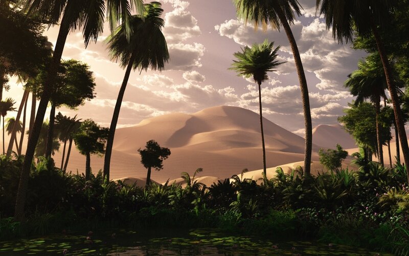 Oasis in Desert — Green, Serene
