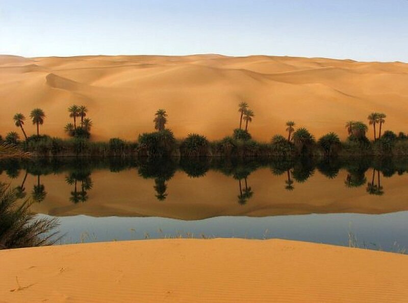 Oasis in Desert