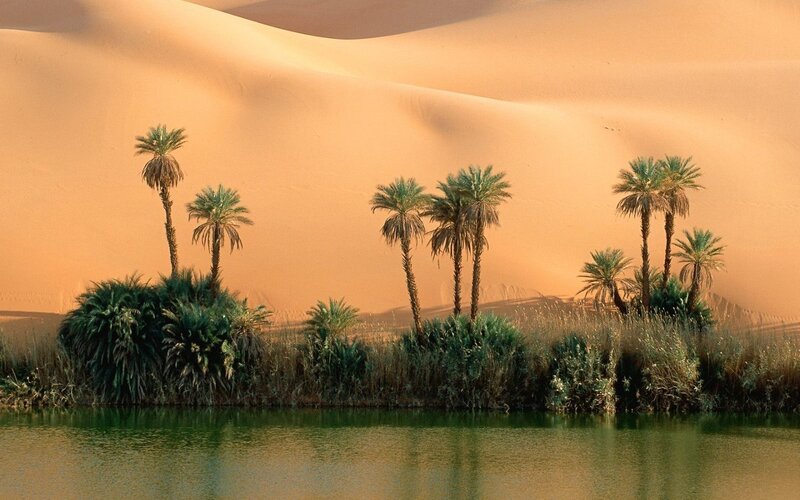 oasis in the desert