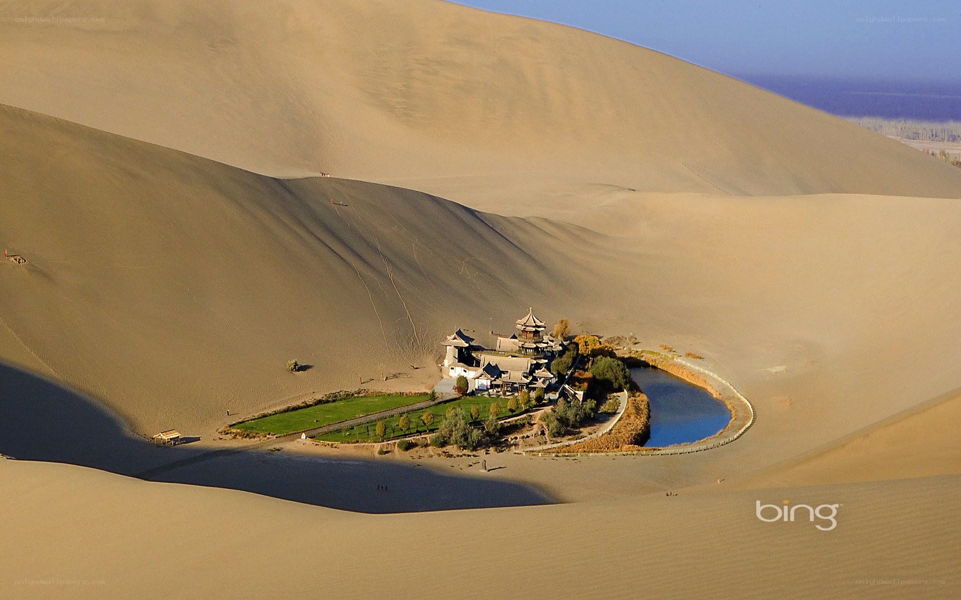 oasis in the desert