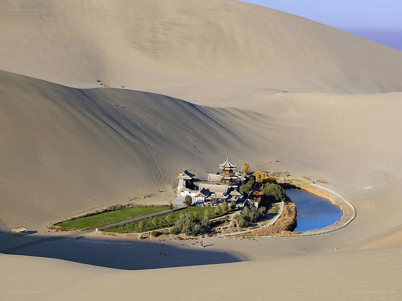 oasis in the desert