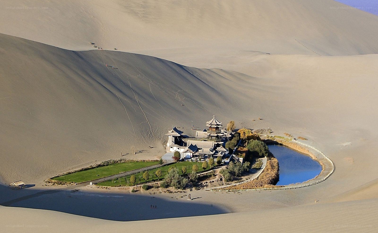oasis in the desert