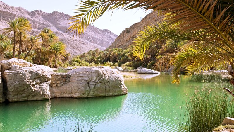 Oasis with Green Water