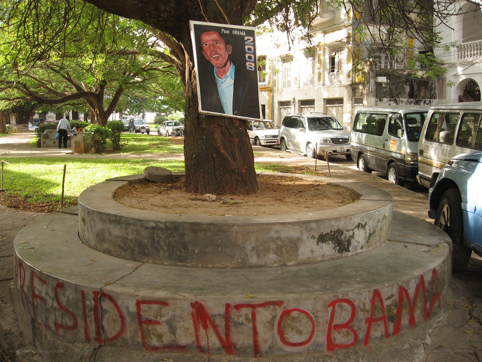 Obama poster on tree