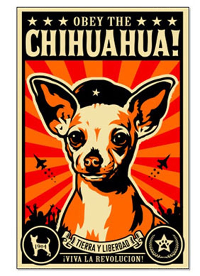 Obey the Chihuahua poster