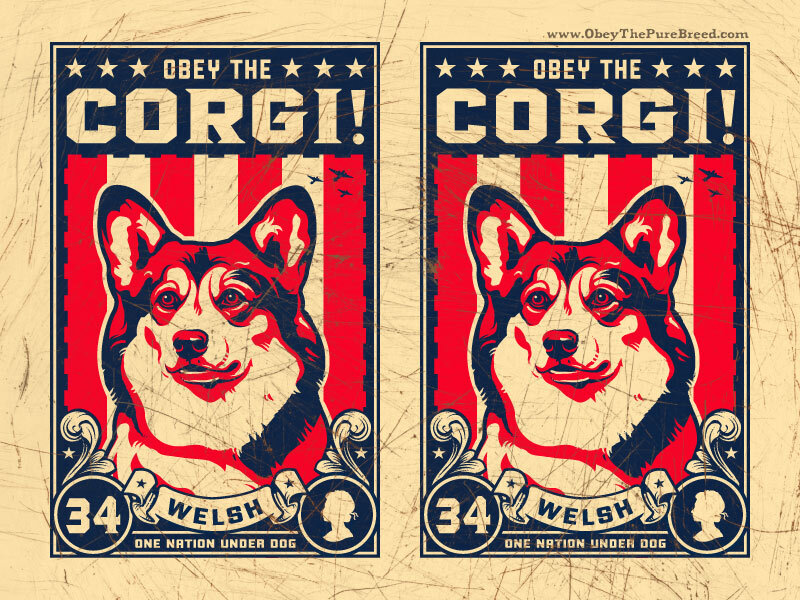 Obey the Corgi poster