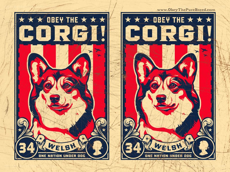 Obey the Corgi poster