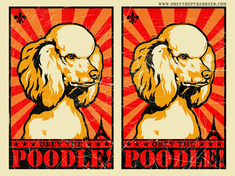 Obey the Poodle poster