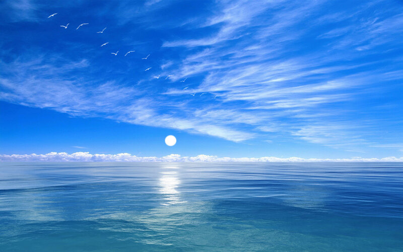 Ocean and Sky with Birds