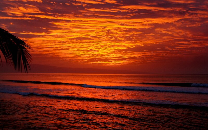 Ocean at Sunset — Orange, Dramatic, Photograph, Palm Tree