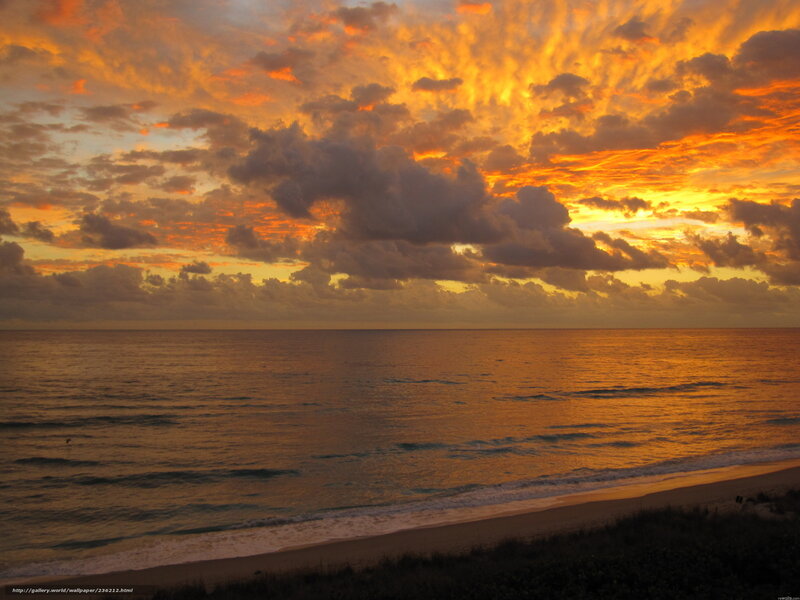 Ocean at Sunset — Orange, Dramatic, Photograph, Sky, Clouds, Beach