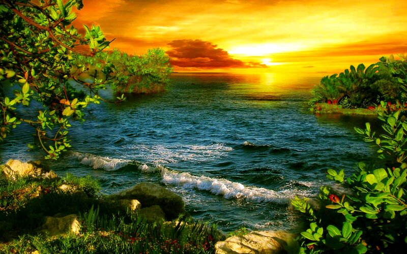 Ocean at Sunset — Orange, Serene, Photograph, Trees