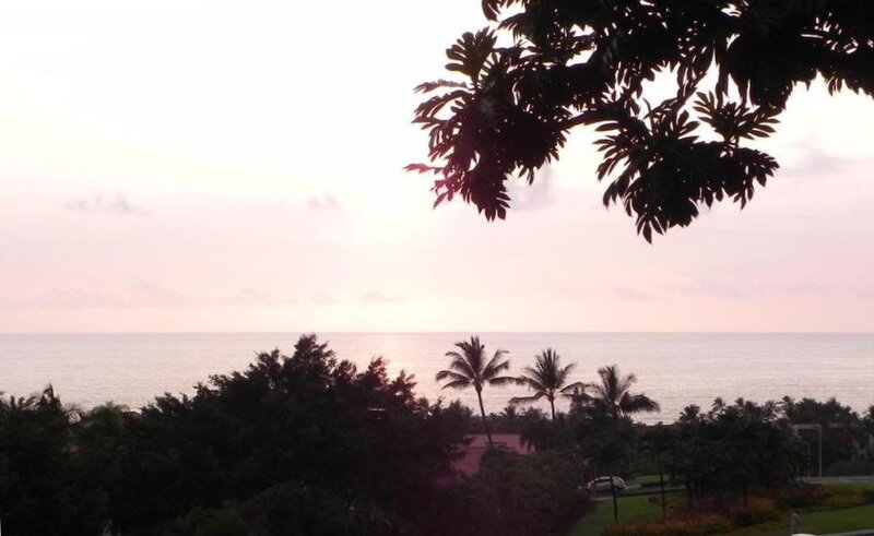 Ocean at Sunset — Pink, Serene, Photograph, Trees