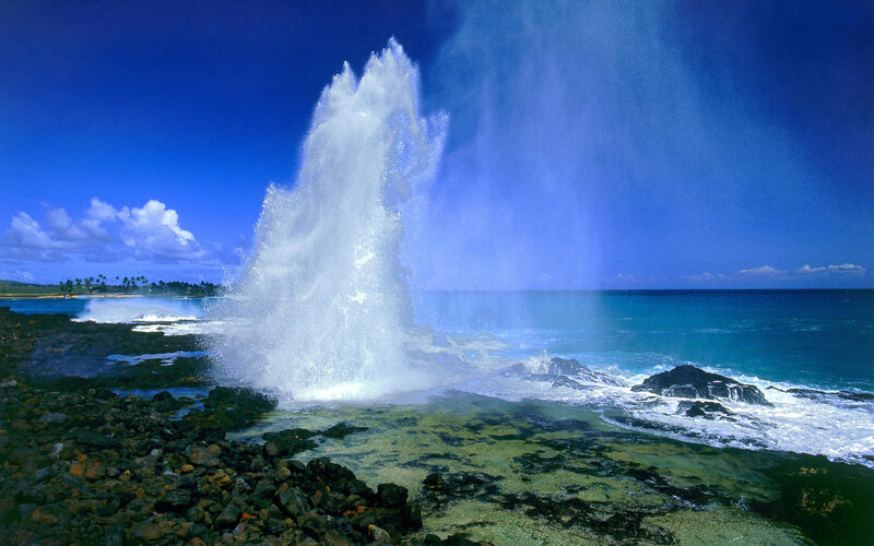Ocean geyser erupting on rocky shore