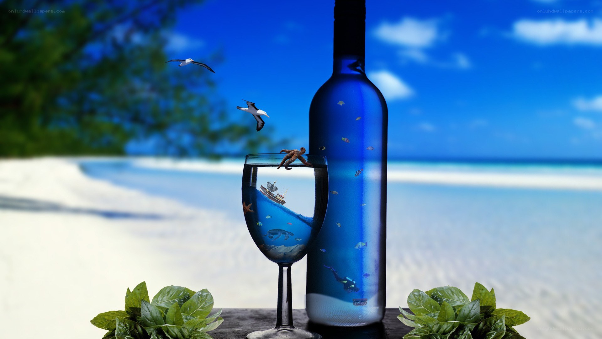Ocean in a glass