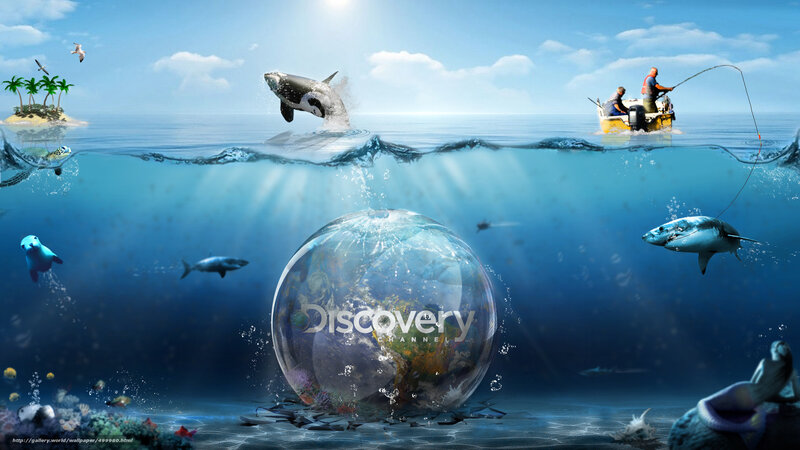Ocean Life and Discovery