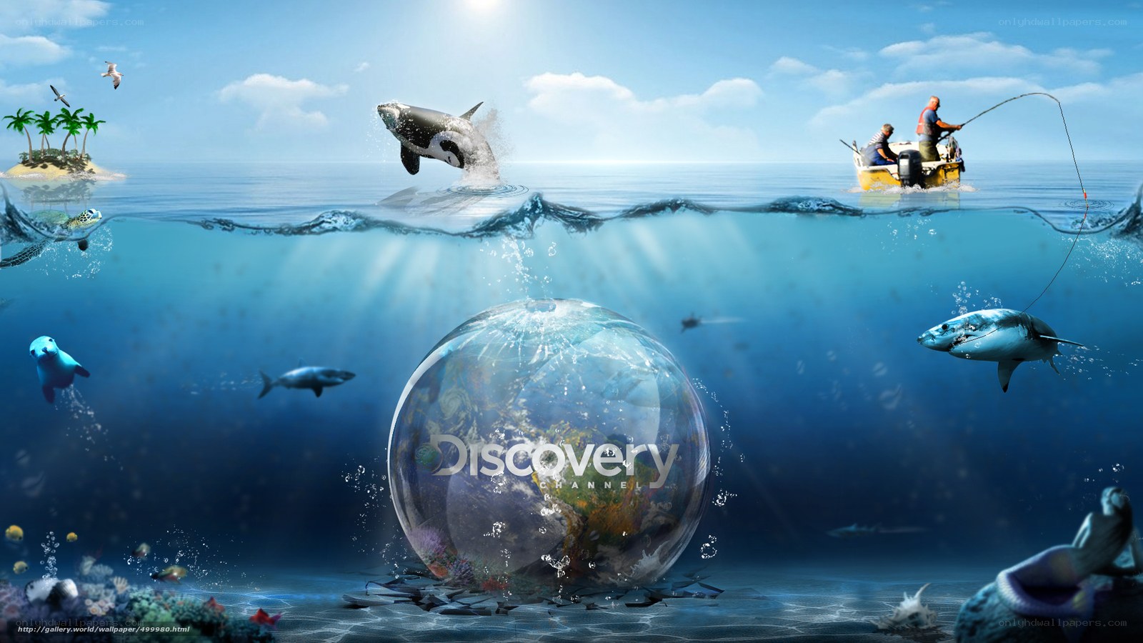 Ocean Life and Discovery