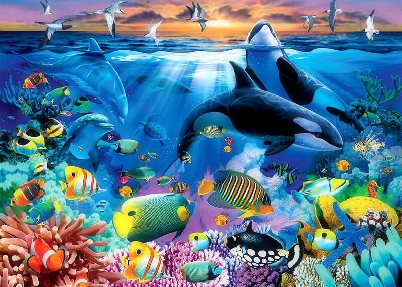 Ocean Life at Sunset