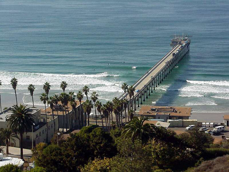 Ocean Pier with Palm Trees