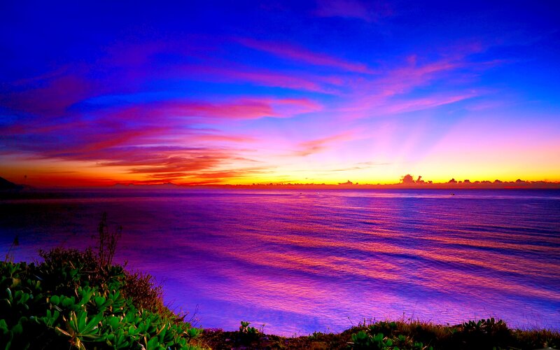 Ocean Sunset — Purple