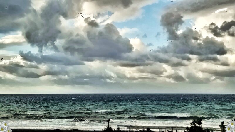 Ocean under Cloudy Sky — Blue, Dramatic, Photograph, Birds