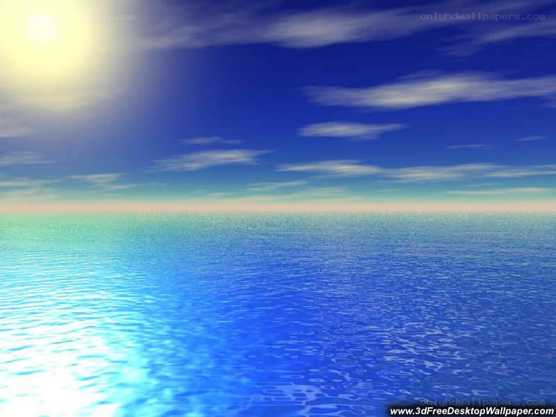 ocean under sunny sky