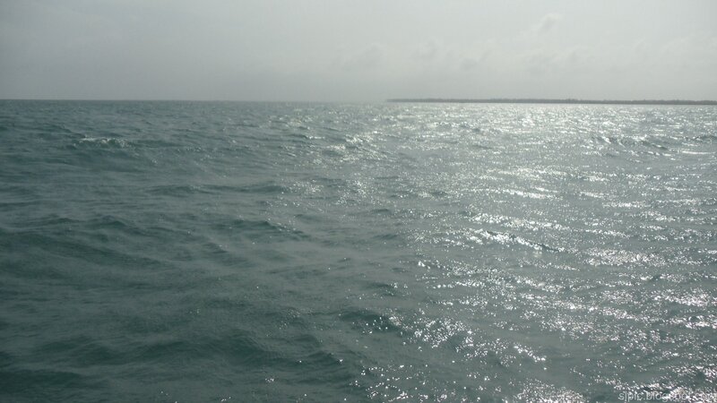 ocean view from a boat