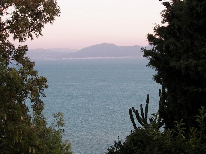 Ocean view from a garden