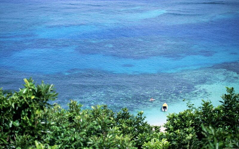 Ocean view from a hillside
