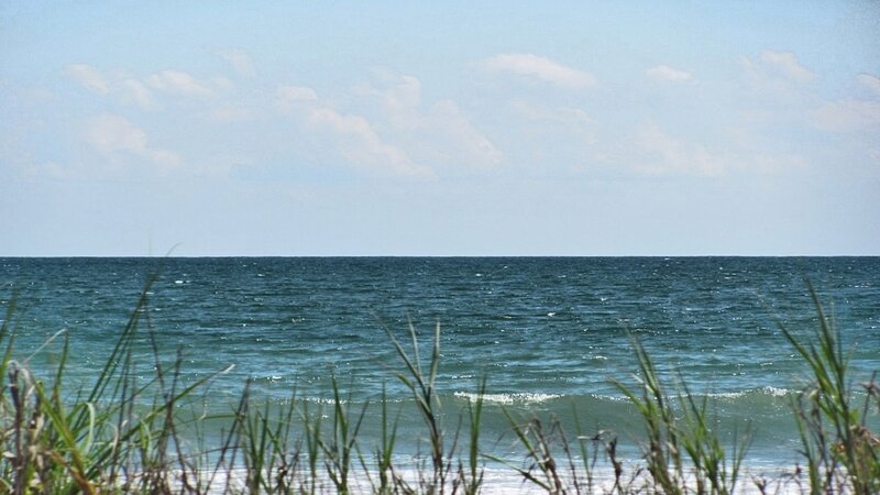 Ocean View from Dunes