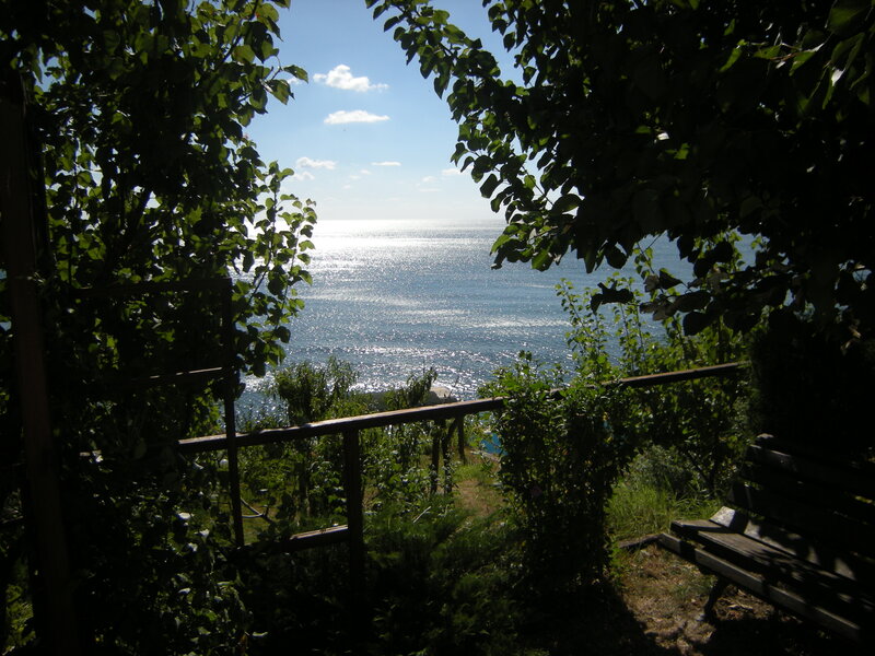 Ocean View from Garden — Green