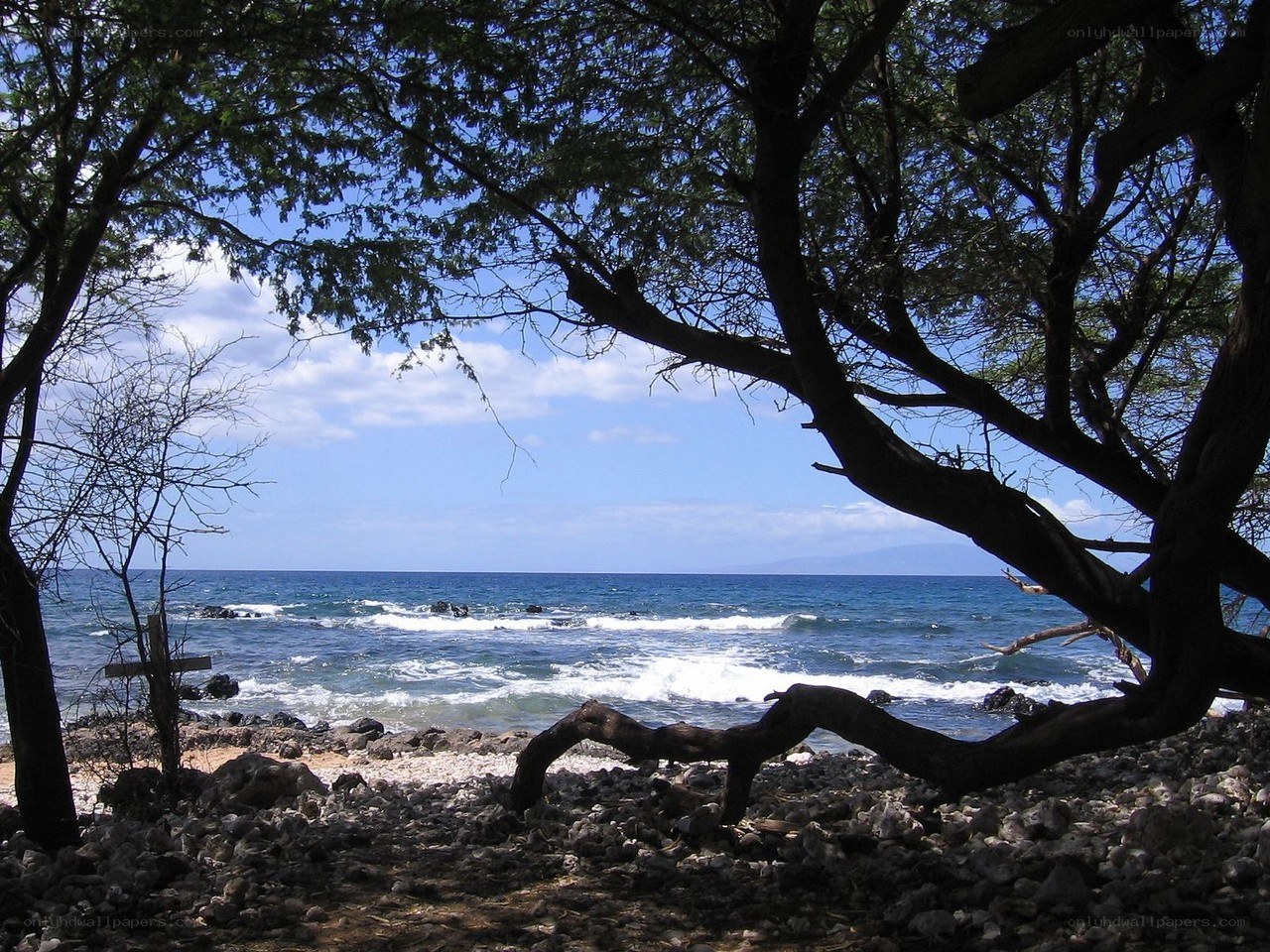 Ocean view from rocky shore