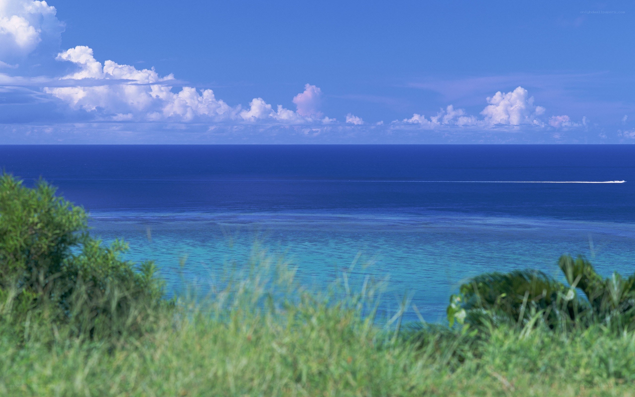 Ocean view with boat