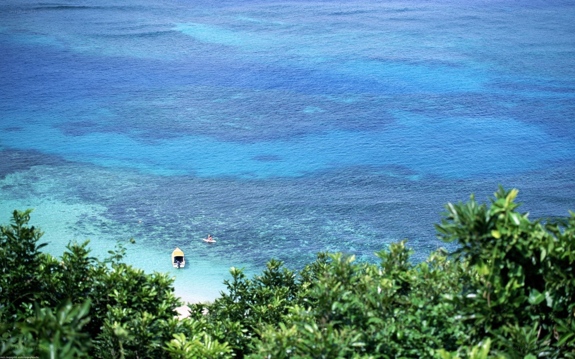 Ocean view with boats and coral