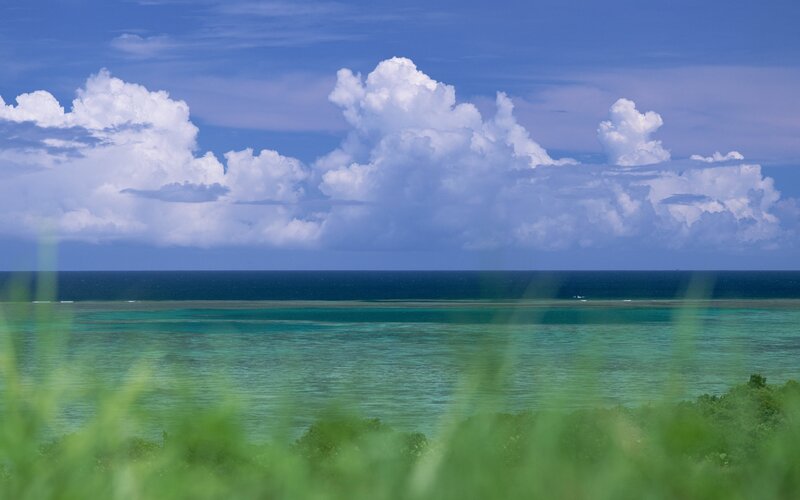 Ocean view with clouds and grass