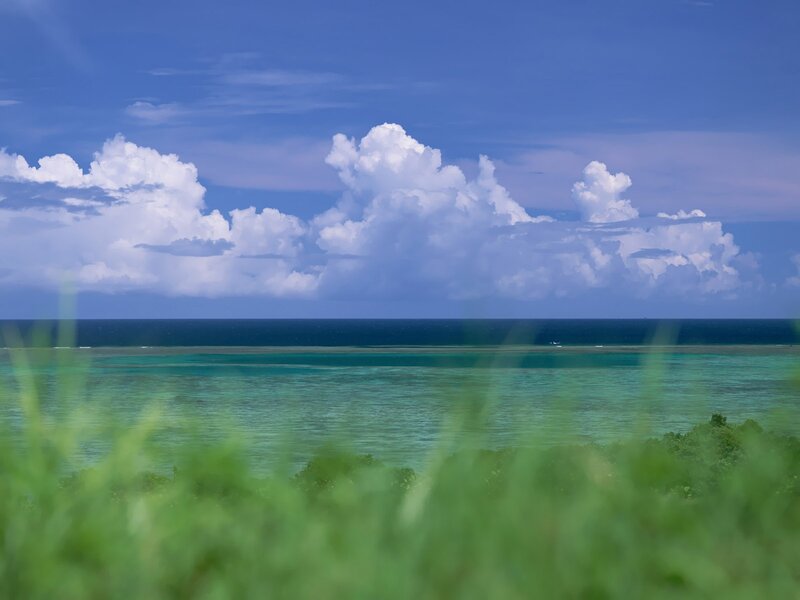 Ocean view with clouds and greenery