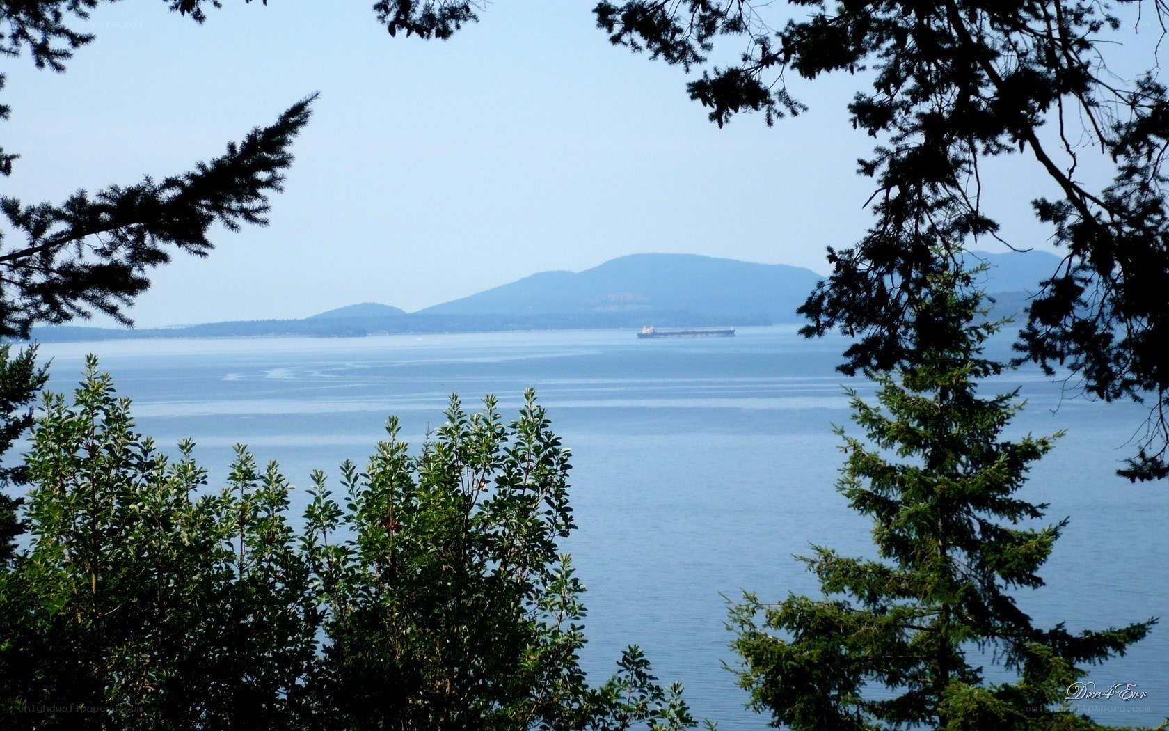 Ocean view with distant ship