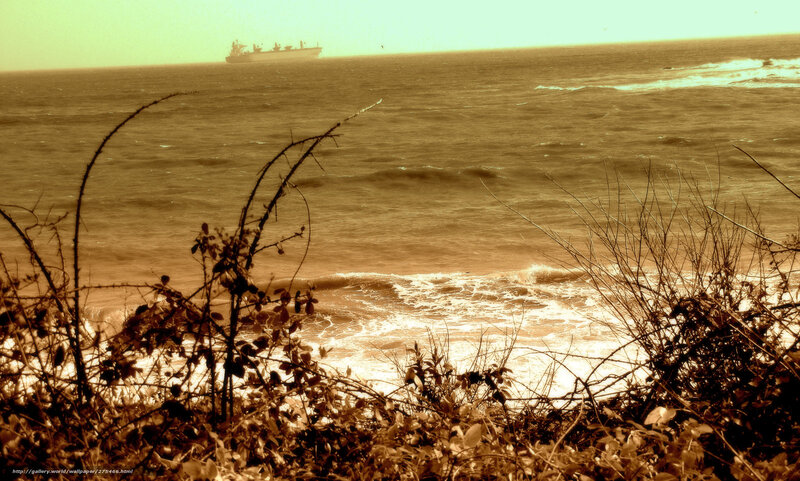 Ocean view with distant ship