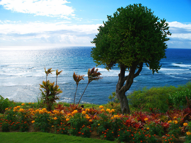 Ocean view with tropical flowers