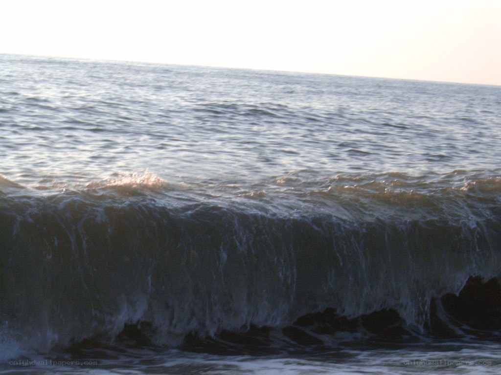 ocean wave at sunset