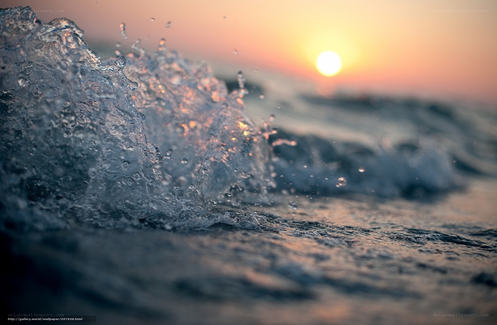 Ocean wave at sunset