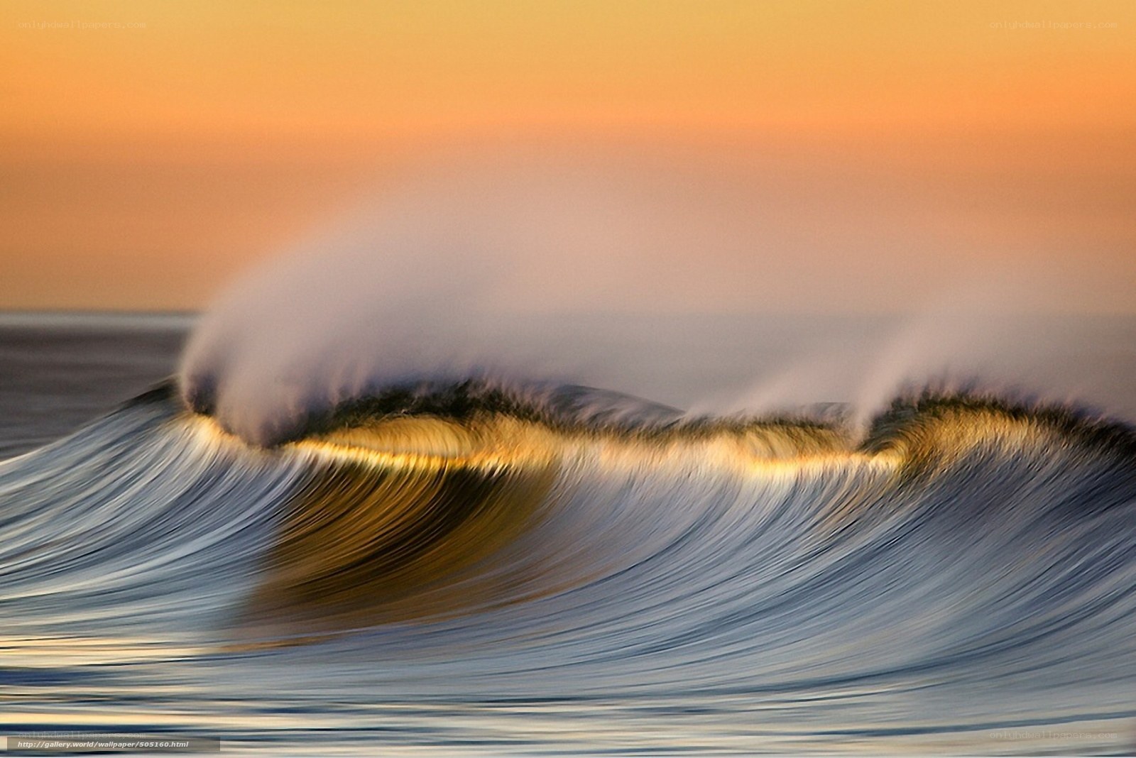 Ocean wave at sunset