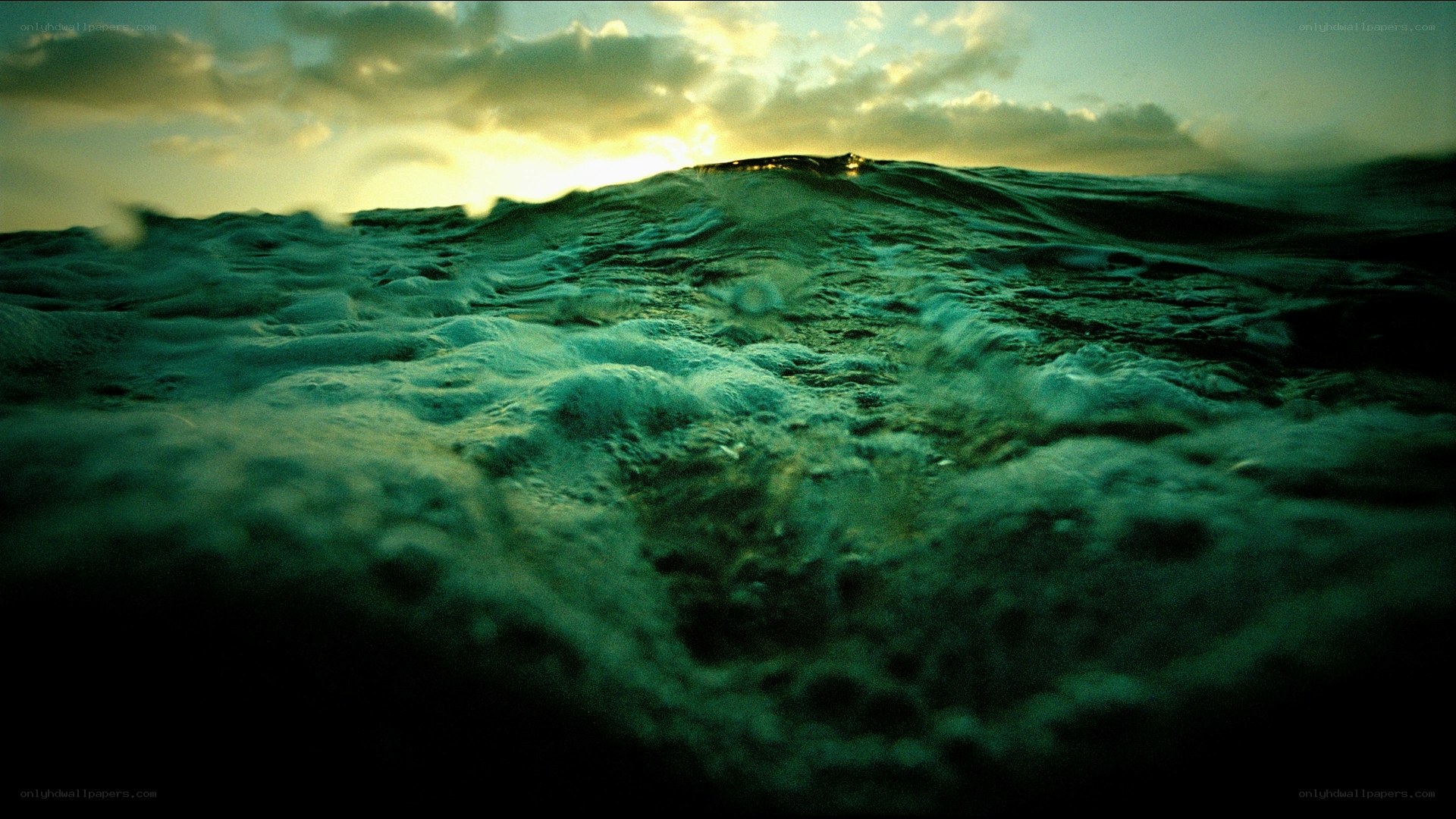 Ocean wave at sunset