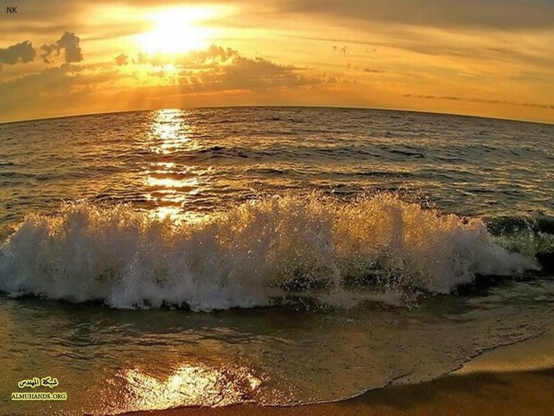 Ocean Wave at Sunset — Gold, Serene