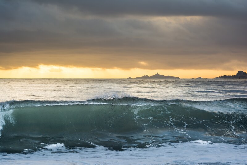 Ocean Wave at Sunset — Gray